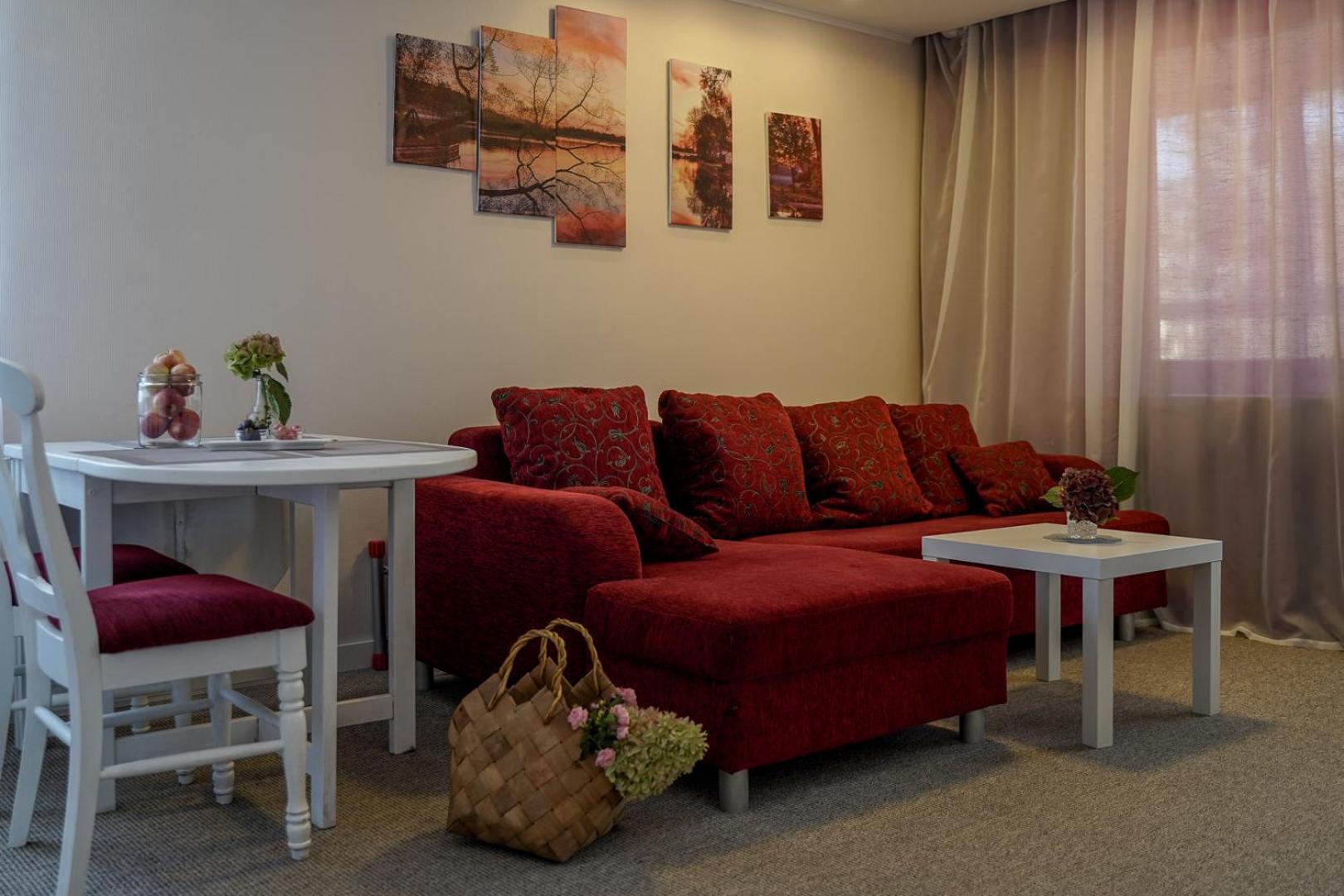 Apartamentai Birstono Centre Su Zidiniu Birštonas المظهر الخارجي الصورة