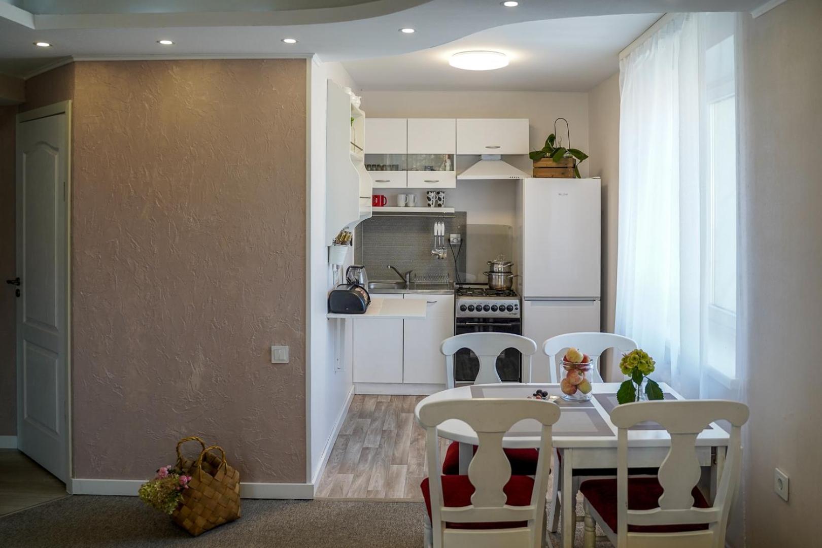 Apartamentai Birstono Centre Su Zidiniu Birštonas المظهر الخارجي الصورة